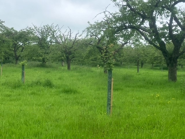 Stacks Image 571