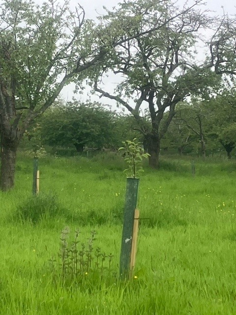 Stacks Image 570